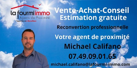 Michael Califano - Conseiller la fourmi